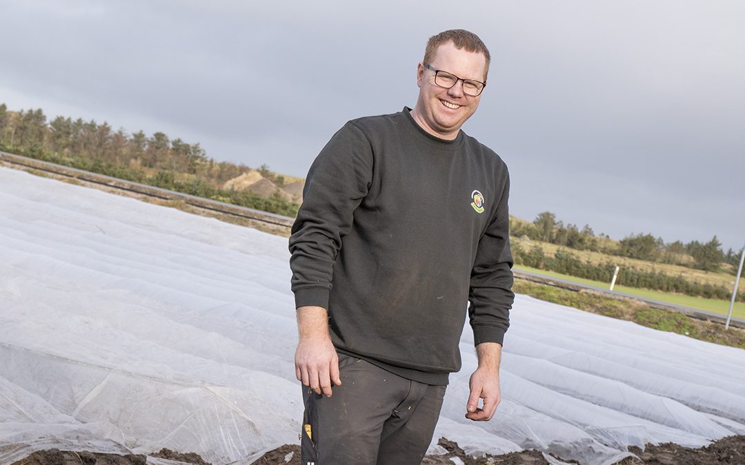 Snart spirer gulrøtene