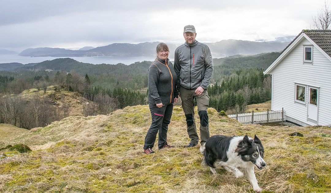 Smaledrift på stor øy