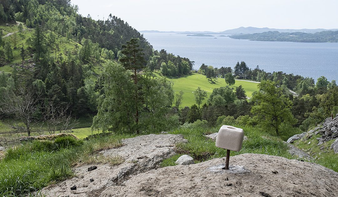 Meiner importen er bøygen