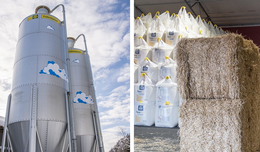 Urolege over lausgjeldauke