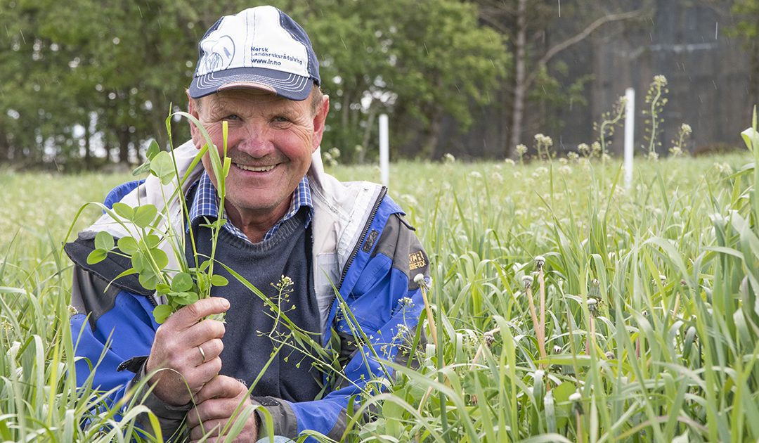 Nå blir Ragnvald pensjonist
