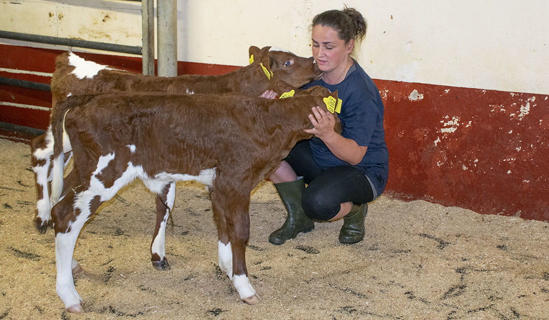 Mjølkemangel: Kva var det vi sa?