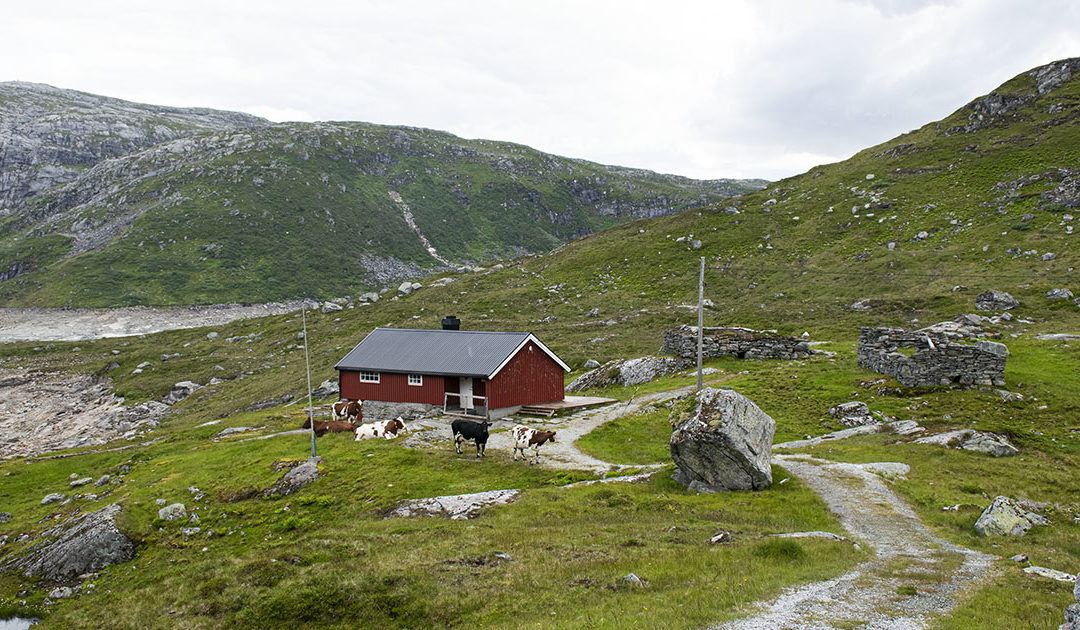 Kan mangle mjølk om to år