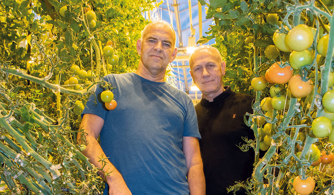 Fryktar spreiing av alvorleg tomatvirus