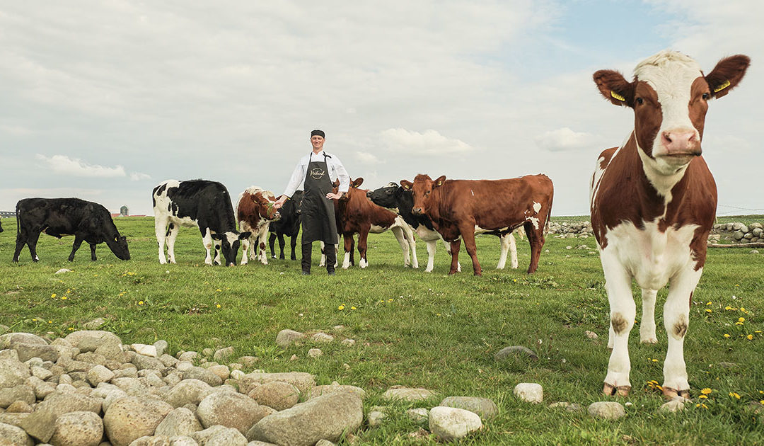 «Gønner» på med NRF