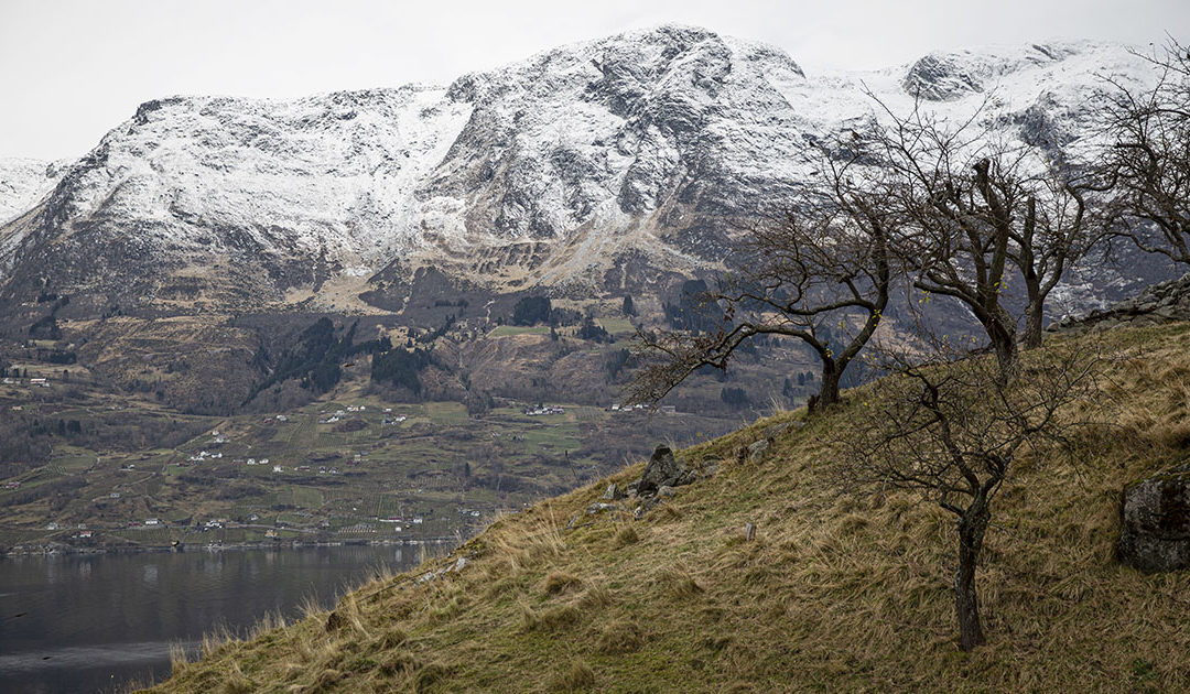 Å høyra til i motbakke