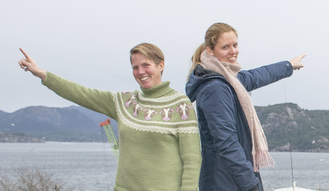 Kva retning vil du landbruket skal ta?