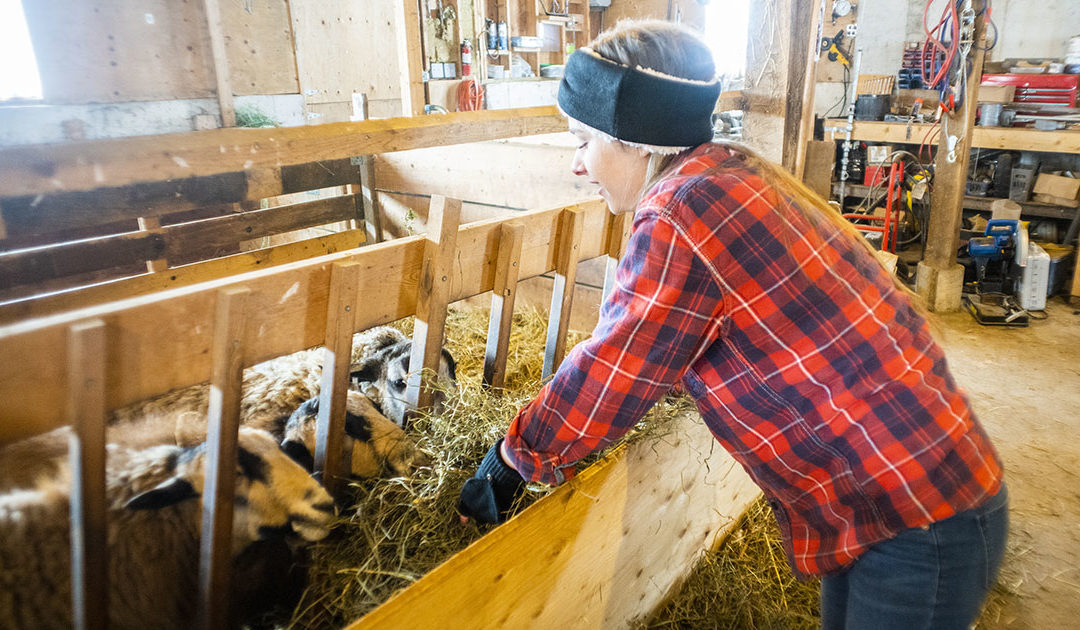 Kan koma noko positivt ut av krisa