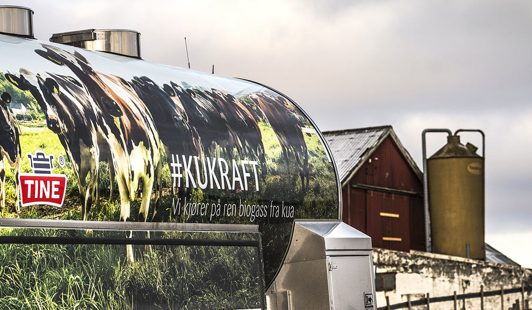 Tine vurderer biogassanlegg på Jæren