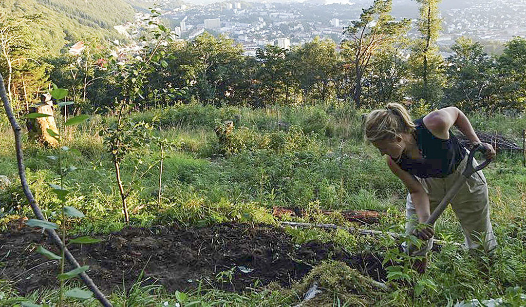 Bærekraftige Benedicte