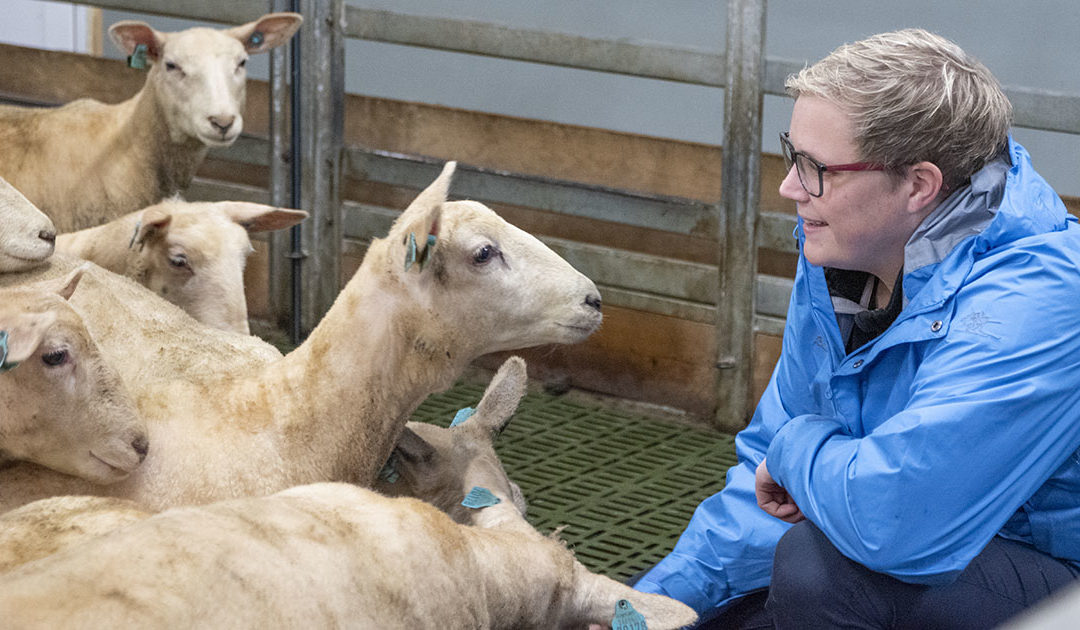 Svært ambisiøs klimaplan