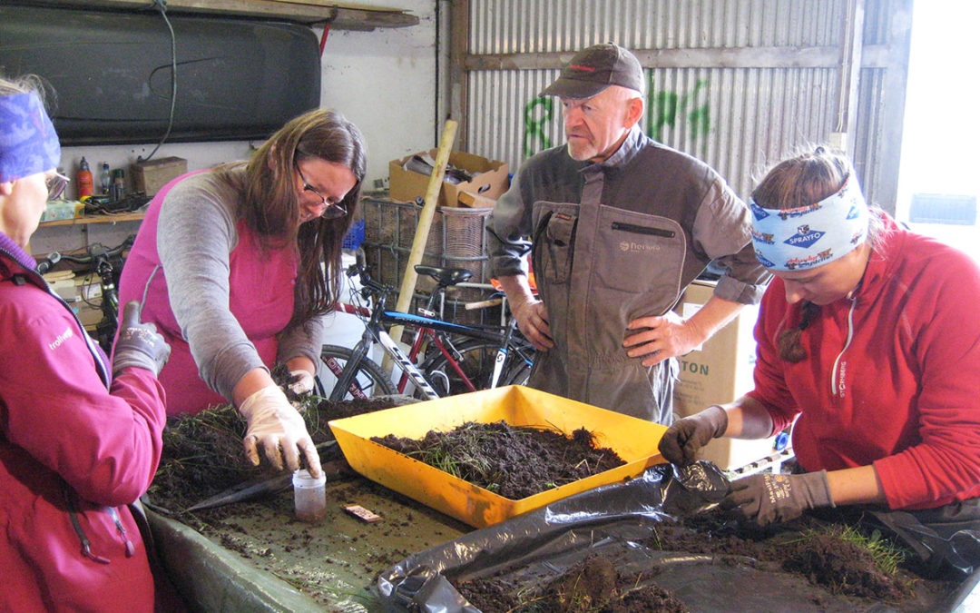 Blautgjødsel og meitemark i eng