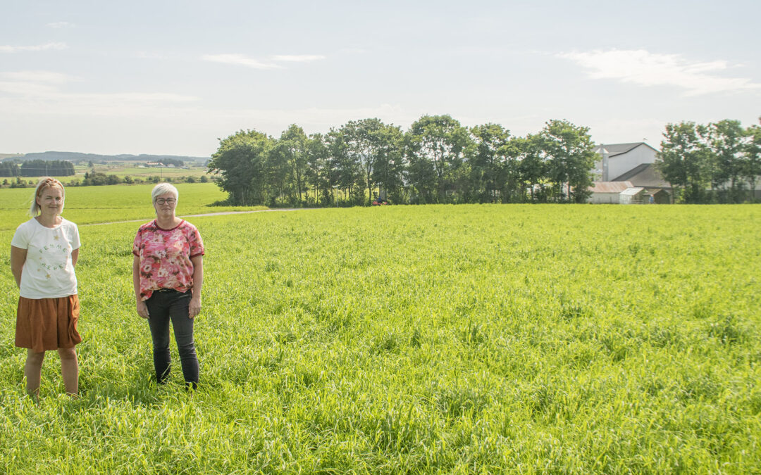 Grunneigarane er på banen