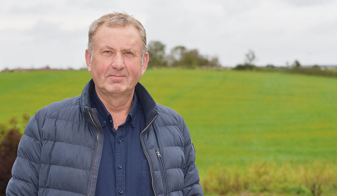 Lysare, men stadig mørkt for svineprodusentane