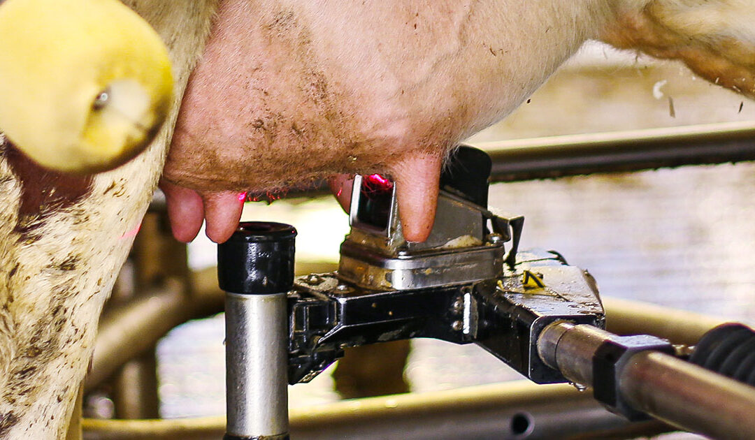 Fleire ville hatt meir att med driftsreduksjon