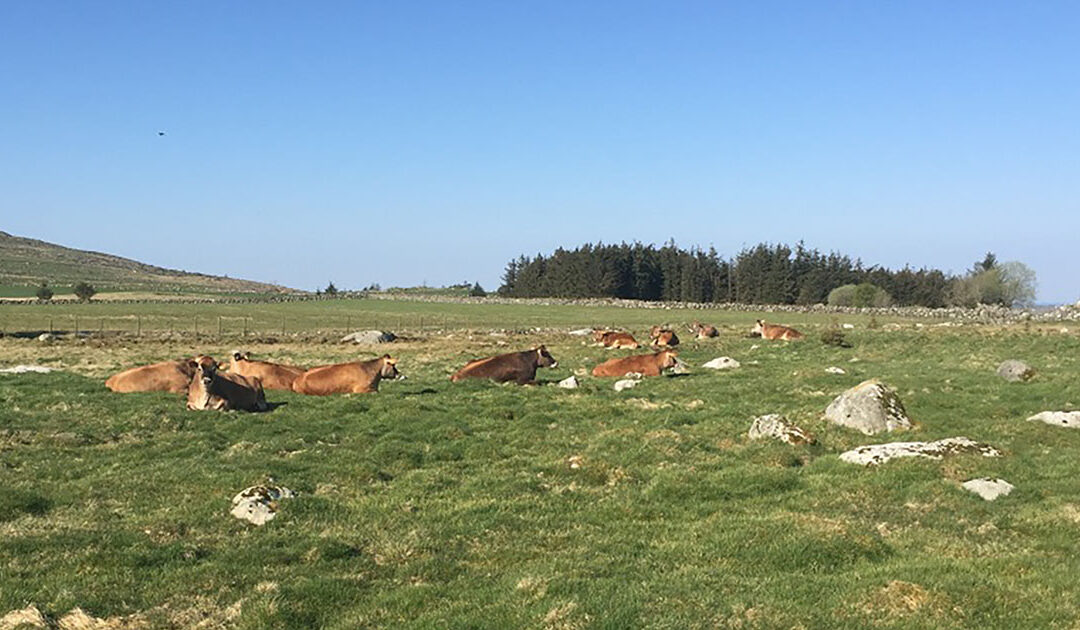 – Planane overskrider alle jordvernmål