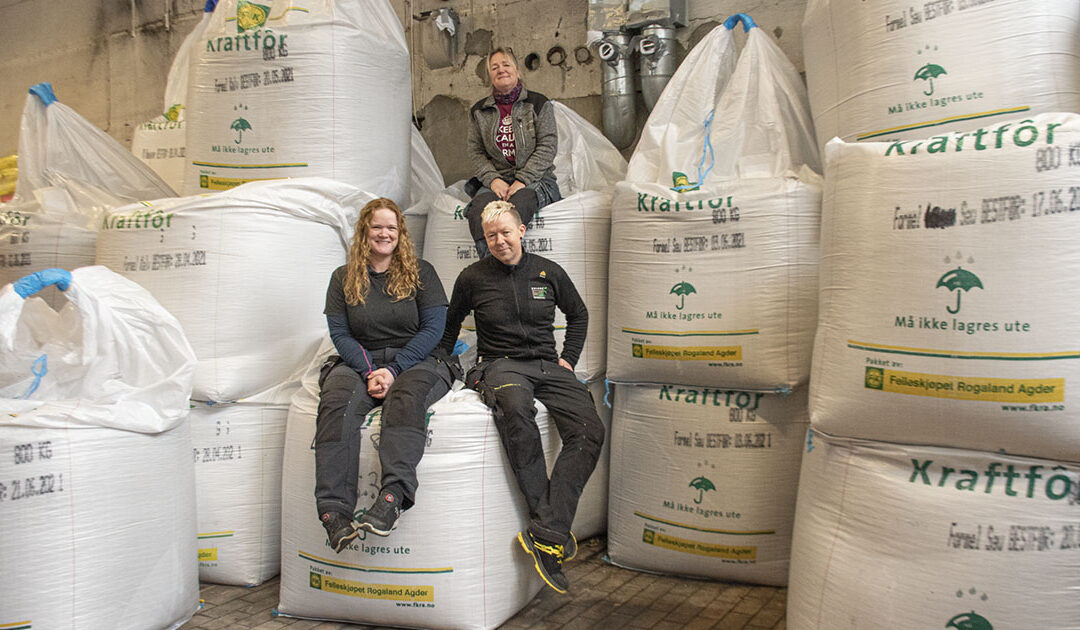 20 år med salsrekordar