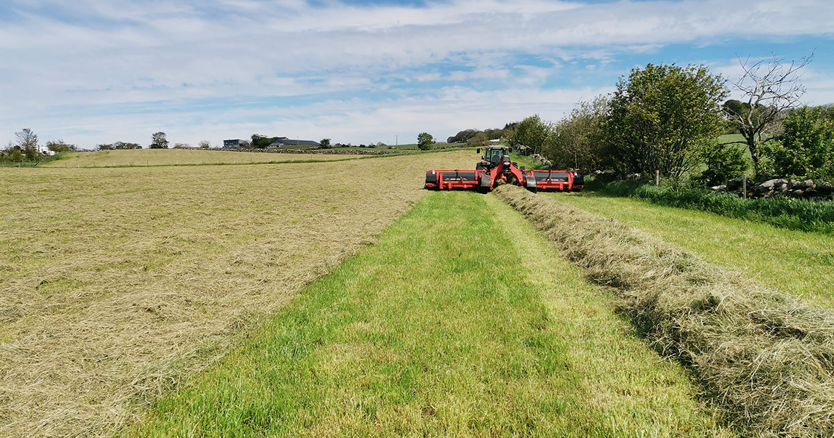 Traktor samler graset før pressing. Grønn eng, raud traktor.