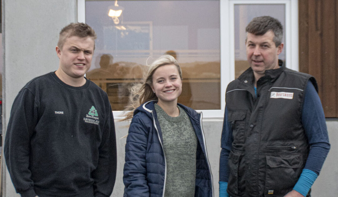 Prisvinnande kompost