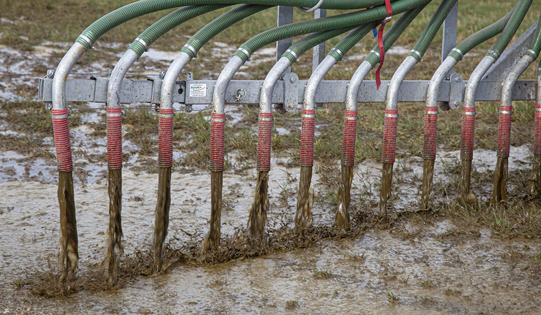 Bønder med høge fosfortal fryktar husdyrgjødselnekt og tilskotstrekk