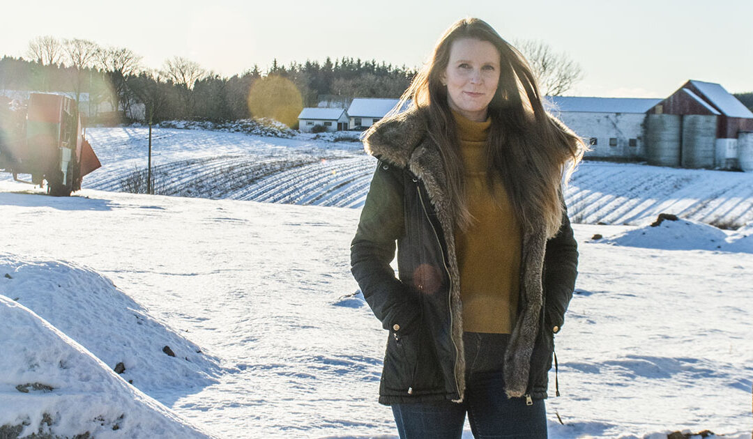 Vil inn på jærske gardar