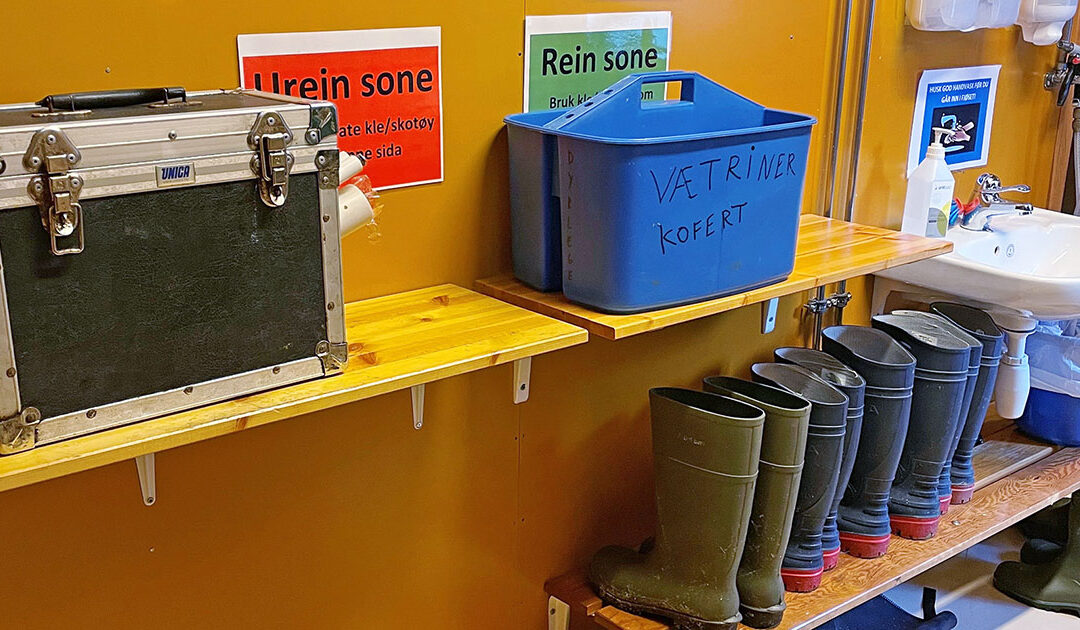 Slik lagar du ei god smittesluse