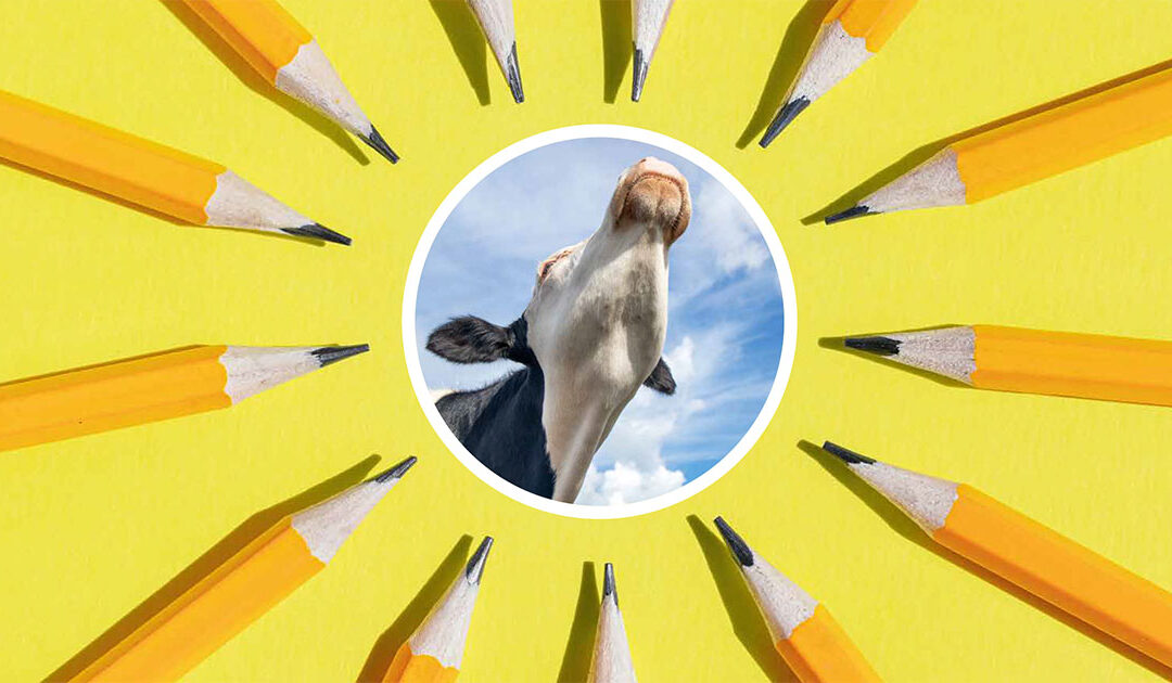 Frilansar i Bondevennen?