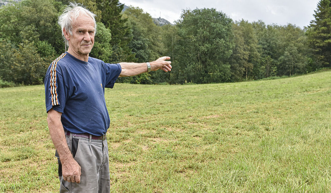 Vil finna rådyrkalvane med drone