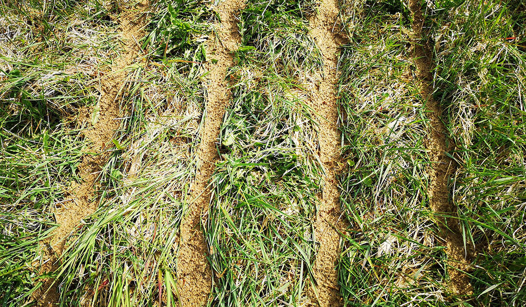 Hvordan møte økte gjødselpriser?