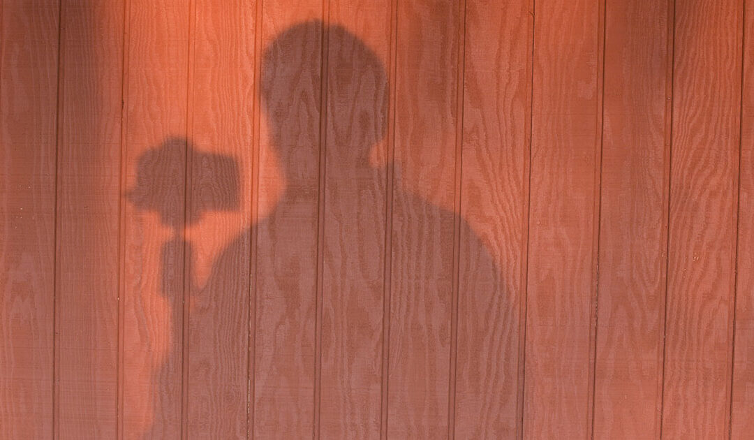 La tilsyns-bagatellene ligge