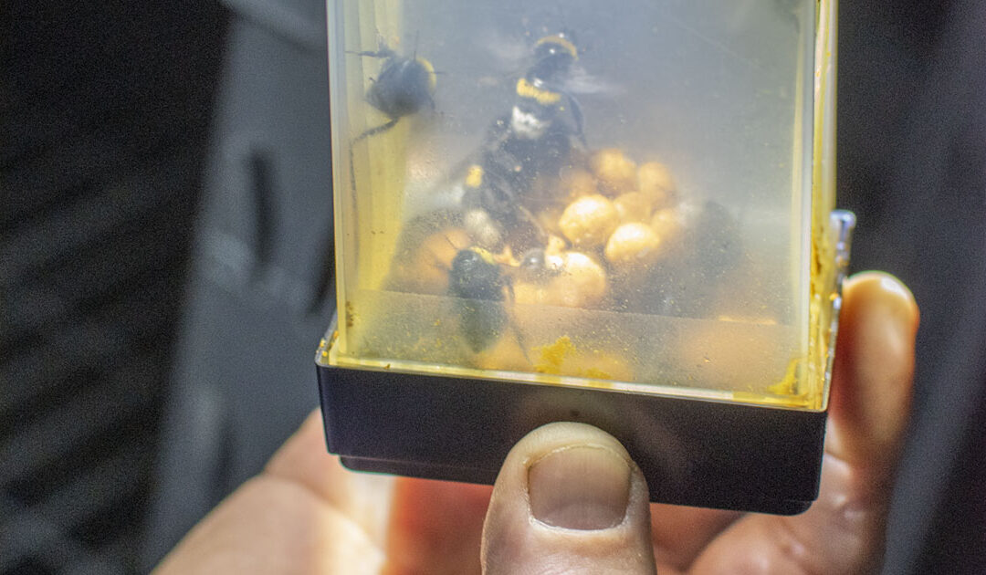 Summande suksess på Klepp