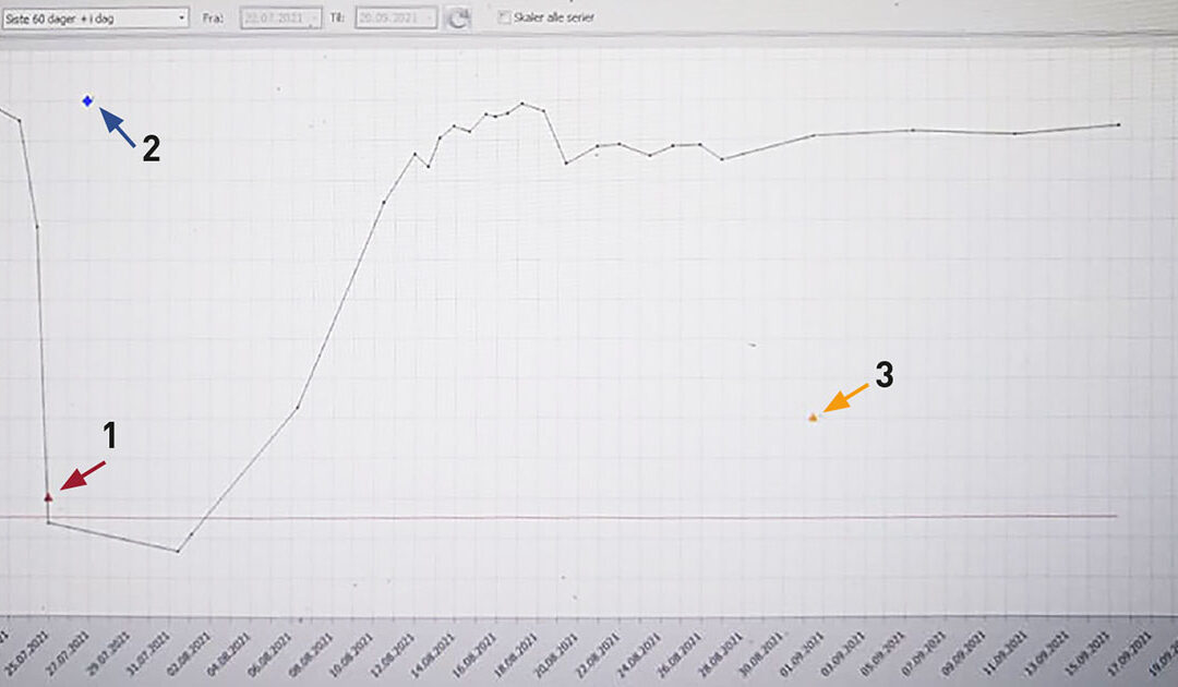 Moderne drektigheitskontroll av storfe