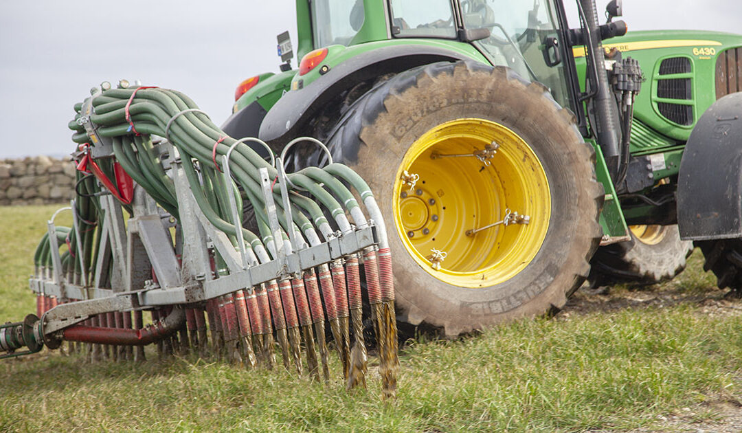 Rogaland kan koma til å mangla ein kvart millionar mål