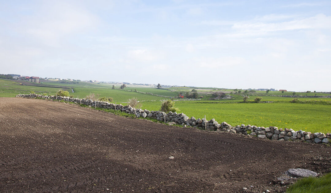 Trong fødsel for landbruksplanen i Hå