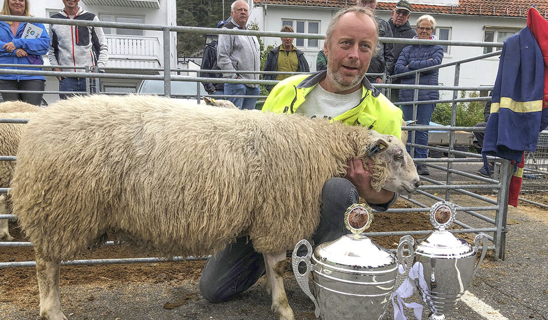 Sjå – nesten som normalt, igjen!