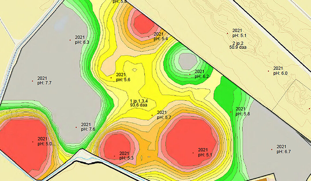 Ver presis med kalkinga