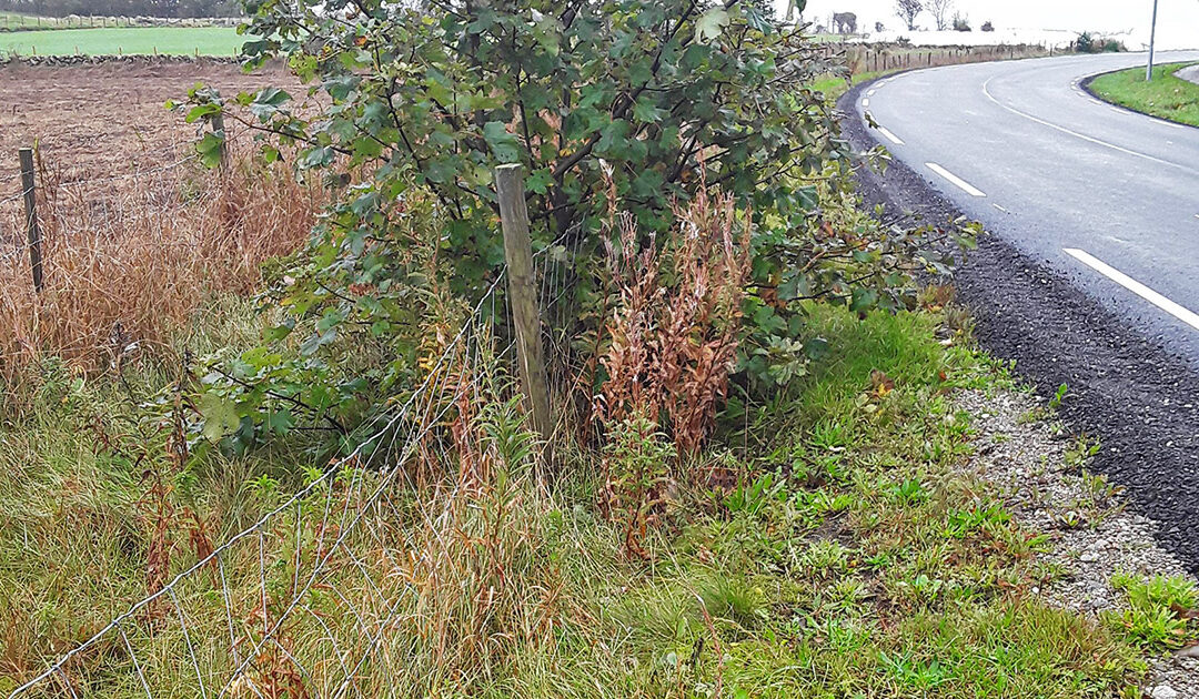 Mesta møter hindringar