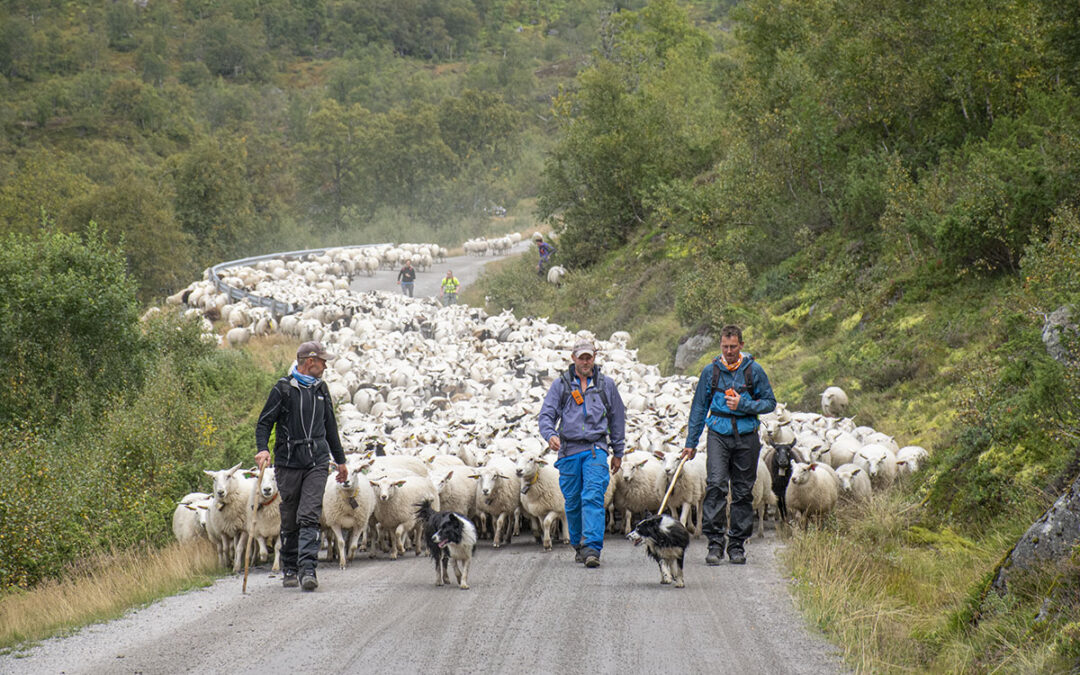 Eit bræktande eventyr