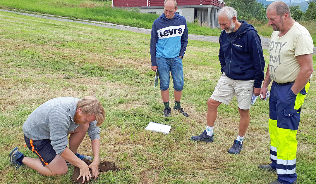 Når graset blir tørkestressa