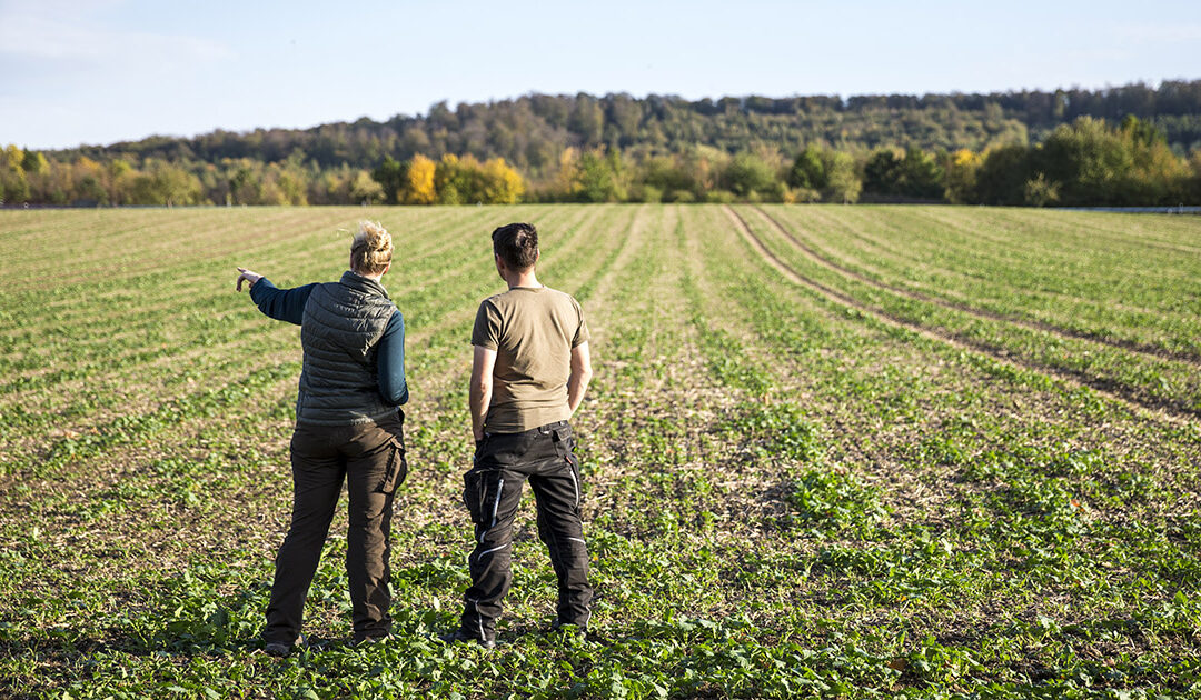 Landbruket i økonomisk krise