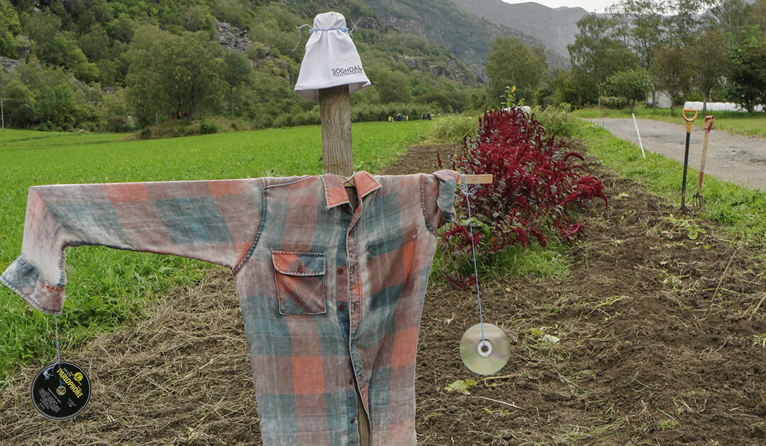 Må ta driveplikta på alvor