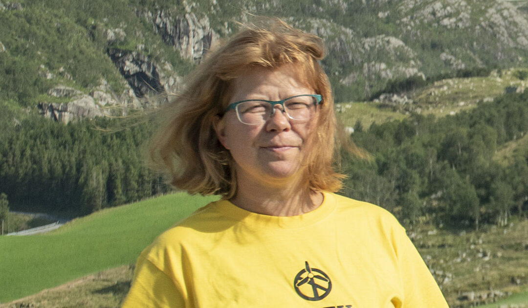 Åtvarar mot vindturbinureining