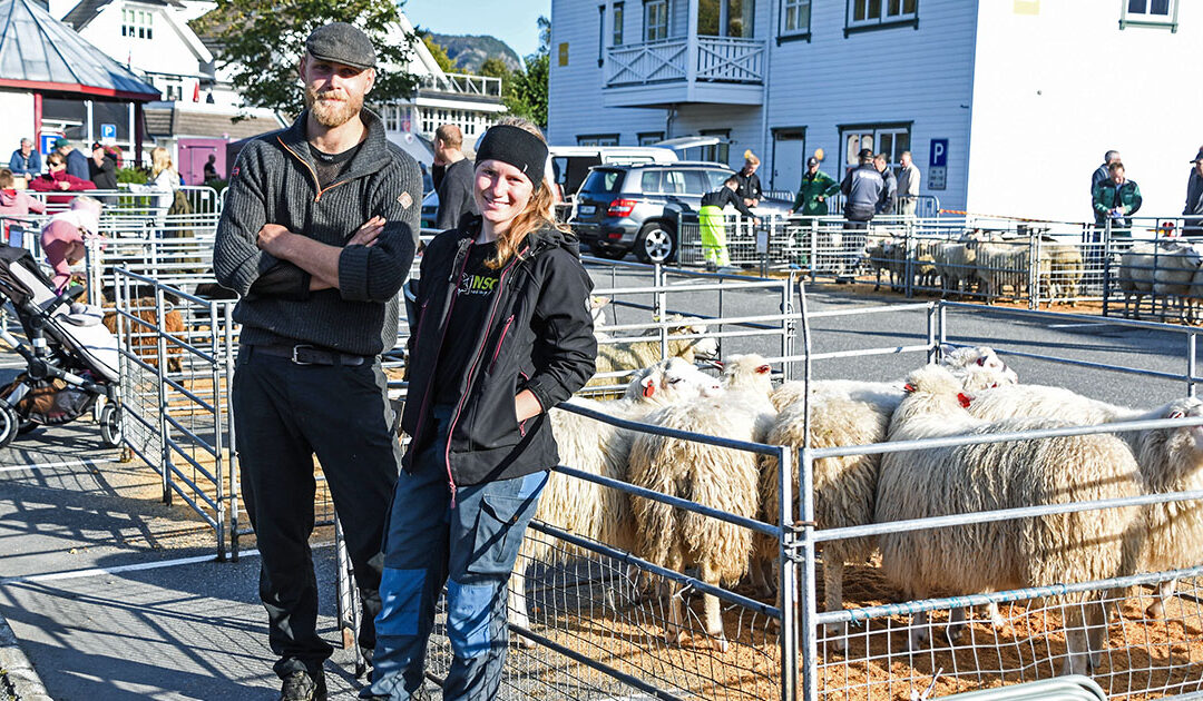 Starter spælværring i Vest-Agder