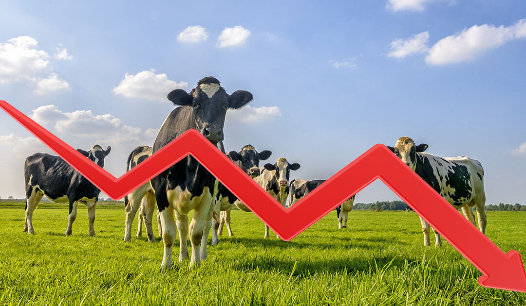 Halve overskotet kan forsvinna