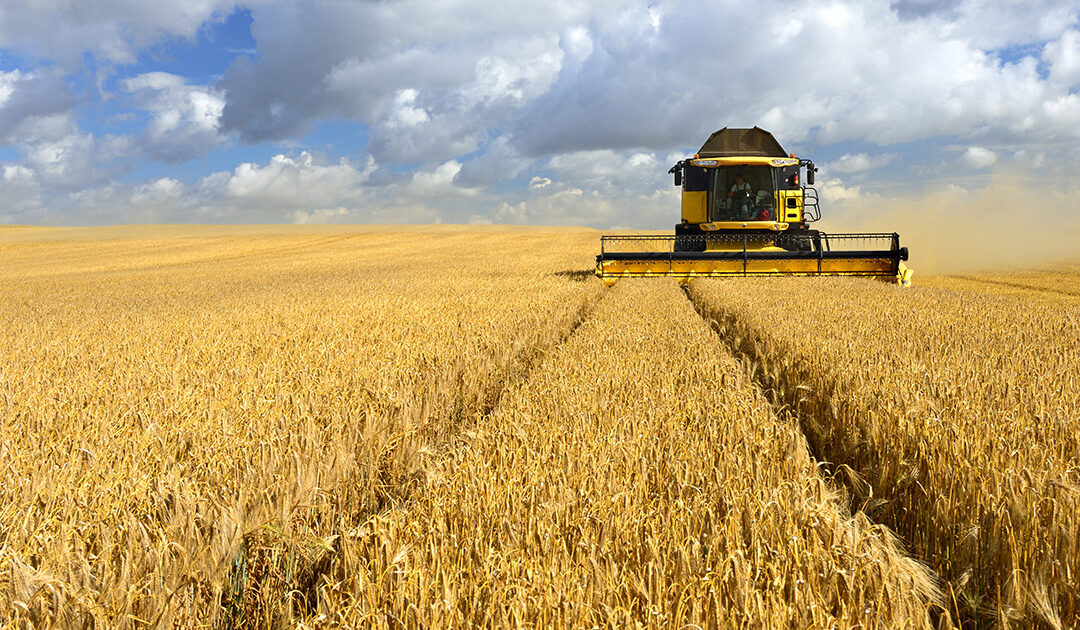 Lovar å levere kraftfôr