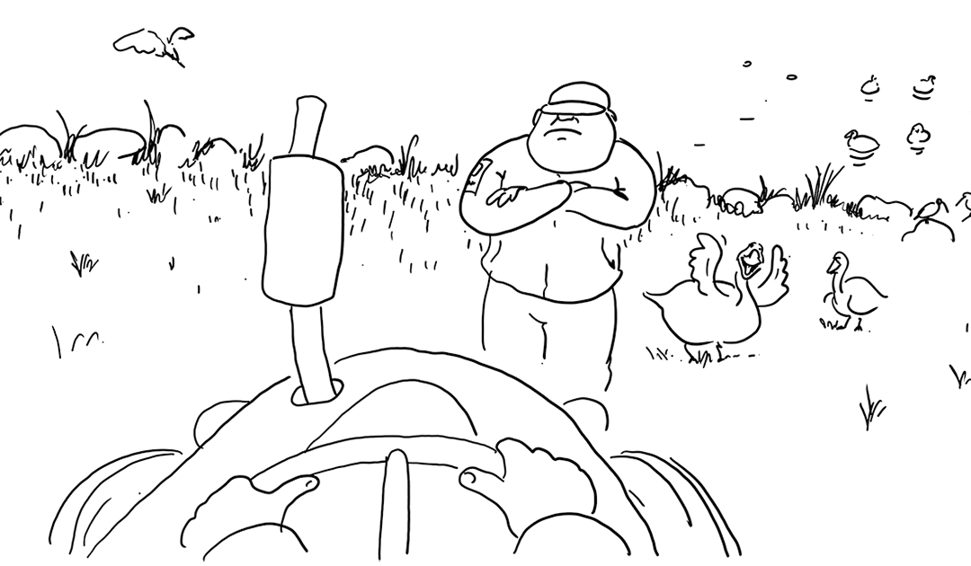 Mat eller vern – eller begge delar?