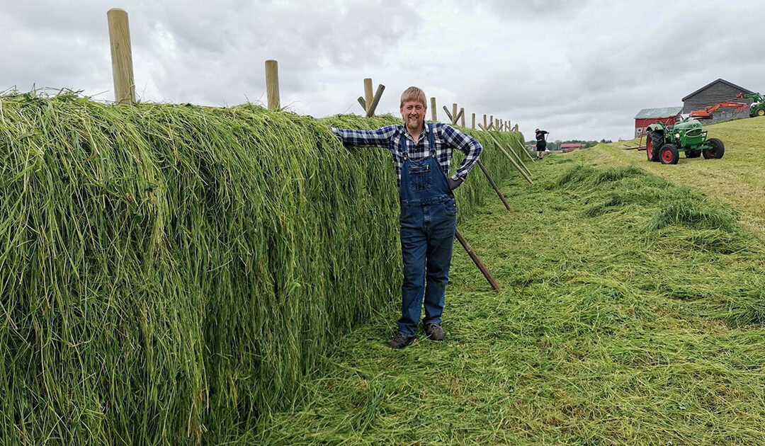 Har lært hesjekunsten