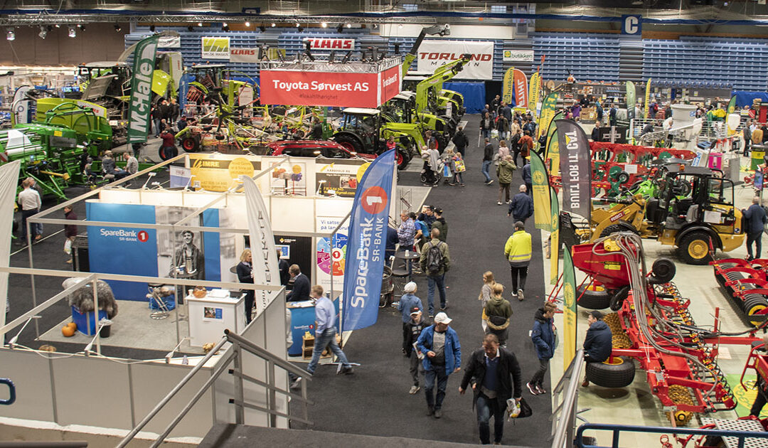 Skuleelev? Gratis inngang!