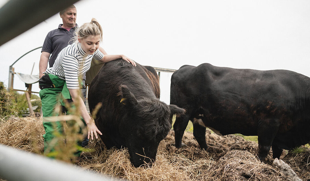 Vil kartlegga tankane dine om framtida