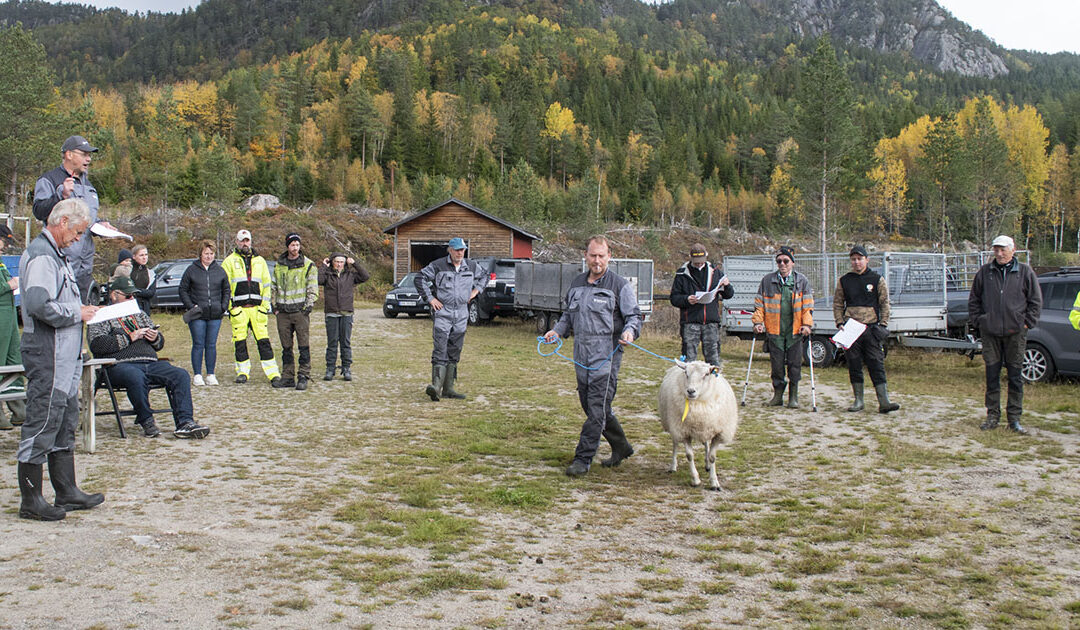 – Selt for 16 000 kroner!